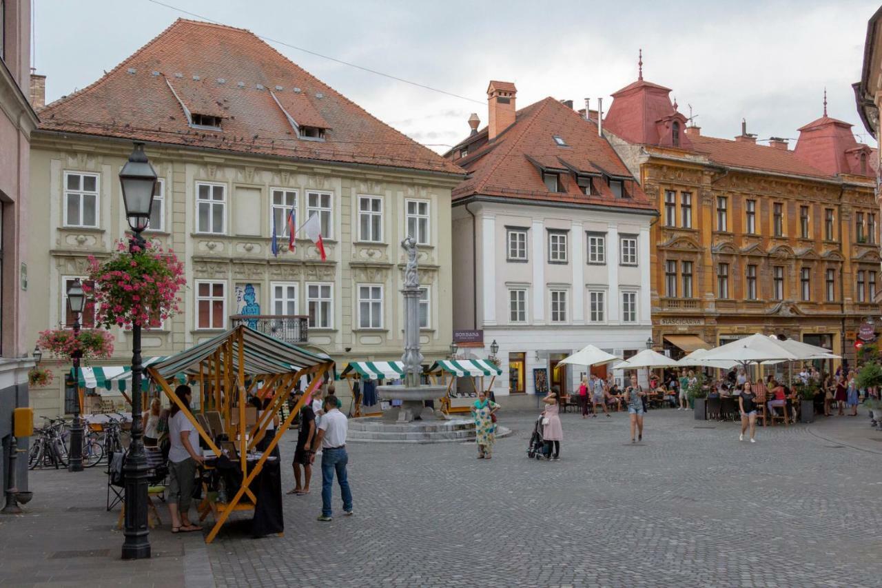 Apartment Fine Dalmatinova Lublana Zewnętrze zdjęcie